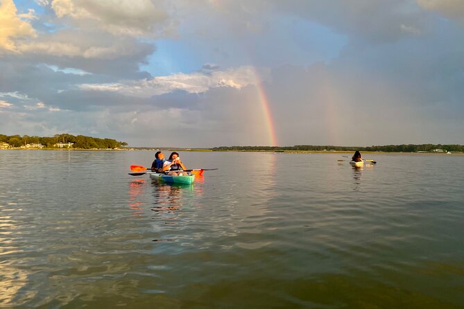 Dolphin Kayak Tour in Virginia Beach Must know how to swim - Who is This Tour Best Suited For?