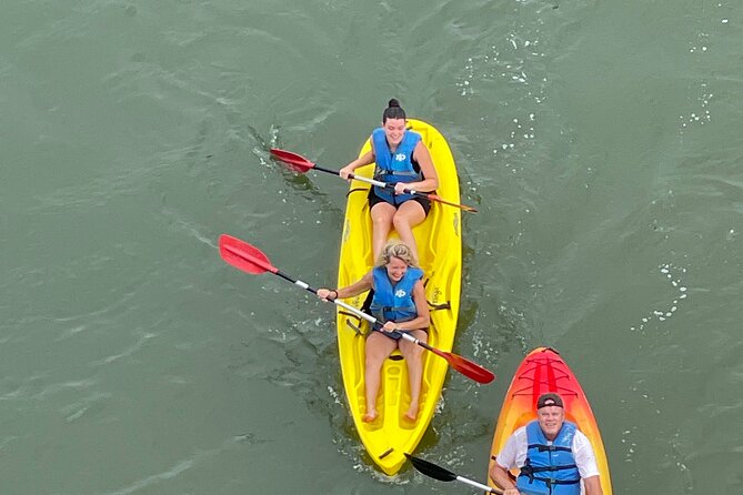 Dolphin Kayak Tour in Virginia Beach Must know how to swim - Practical Details and Considerations