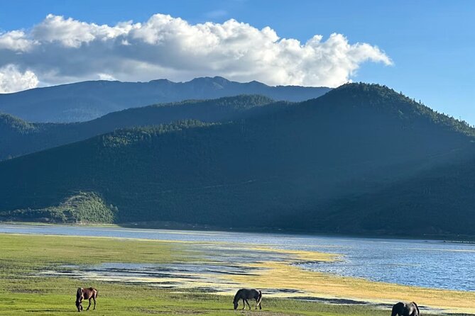 Shangri-La Day Tour Songzanlin Monastery and Napa Sea - Practical Tips and Considerations