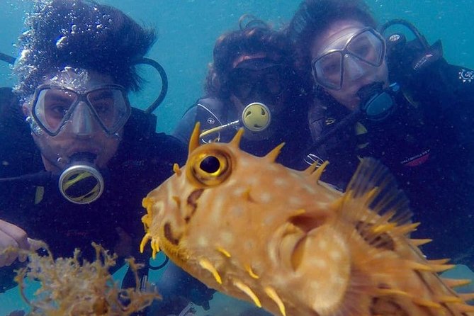 Private Program for Accredited Diver in Búzios - Key Points