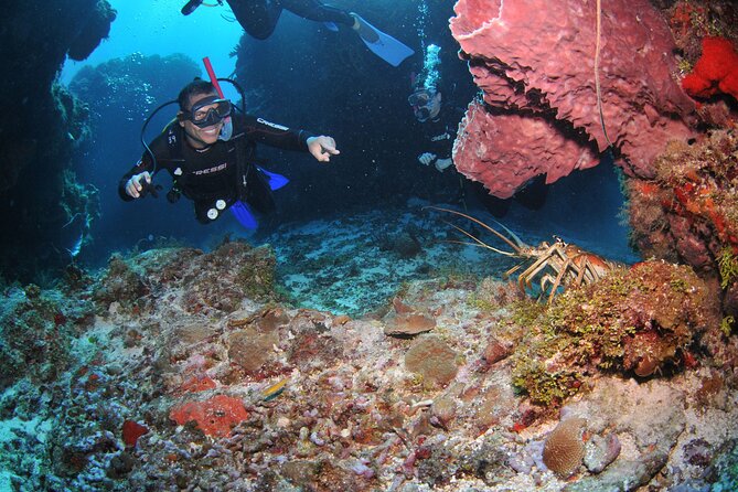Discover scuba diving in Búzios - The Experience in Detail