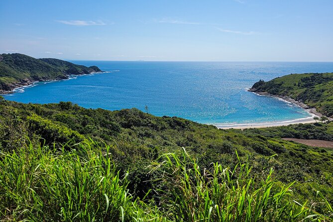 Búzios Full day: Boat and Trolley Tour with Lunch from Búzios - Who Should Consider This Tour?