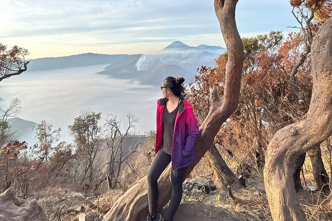 3D2N Mount Bromo Ijen Blue Fire with 4-Star Accommodation - Authentic Experiences and Tips from Reviewers