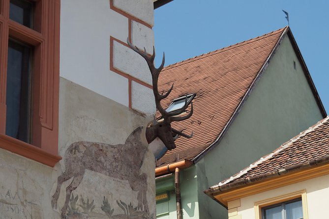 Small Group Tour to Viscri Church Sighisoara Town Rupea Fortress - An In-Depth Look at the Tour Experience