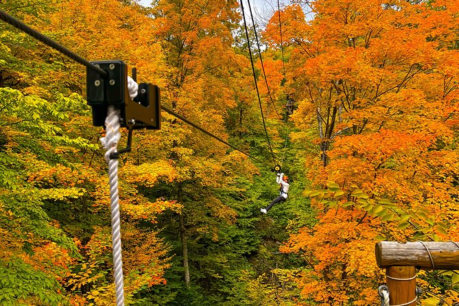 Zipline Canopy Activity Admission at Bristol Mountain - Practical Details and Value