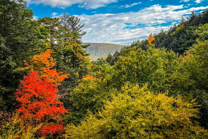 Zipline Canopy Activity Admission at Bristol Mountain - Final Thoughts