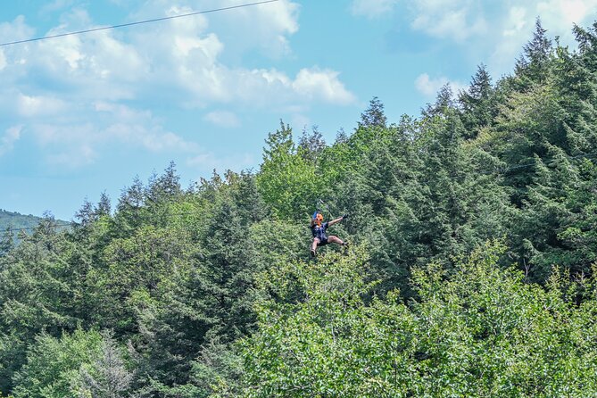 Zipline Canopy Activity Admission at Bristol Mountain - Zipline Canopy Activity Admission at Bristol Mountain: An Adventure Worth Flying For