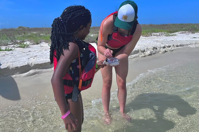 Pensacola Beach Kayak Tour - Final Thoughts