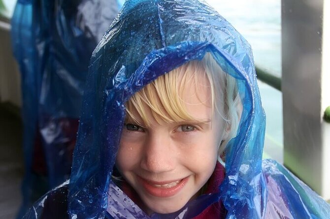 Niagara Falls USA Walking Tour with Cave and Maid of the Mist - Who Should Take This Tour?