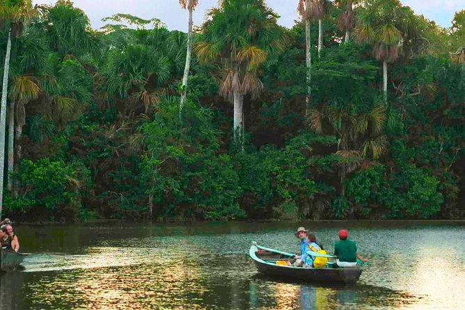 Tambopata Jungle Adventure Tour 4 Days - Who Should Consider This Tour?