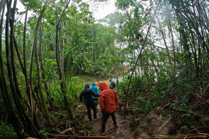 Amazon Jungle 3-Day Tour from Puerto Maldonado - FAQ