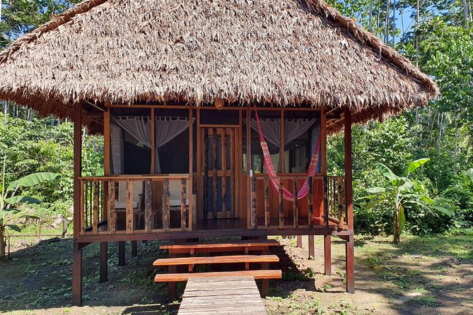 Best of Tambopata 3 nights by JunglePro - The Sum Up: Who Should Book This?