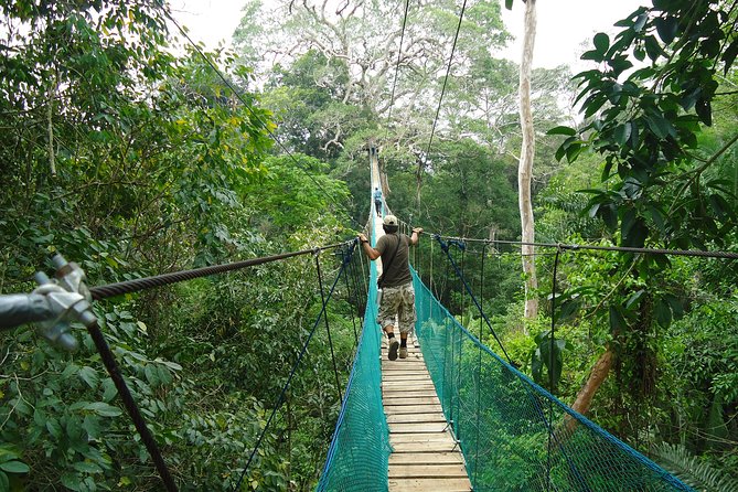 Jungle Eco Jungle And Adventure - 4 Days / 3 Nights - Exploring the Itinerary in Detail