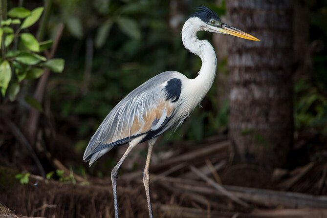 Eco Jungle - 2 Days / 1 Night - Final Thoughts: Who Will Benefit Most?