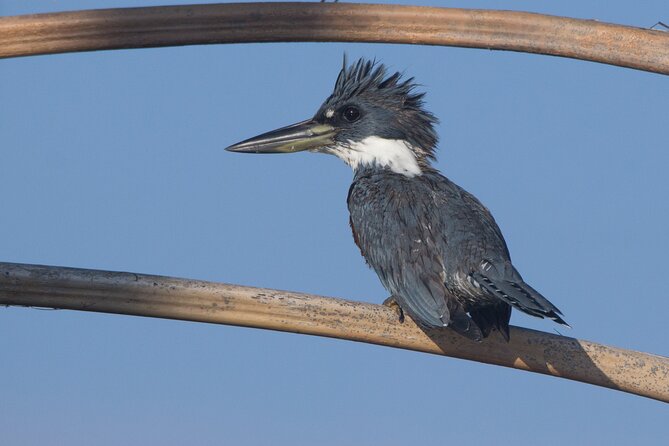 Eco Jungle - 2 Days / 1 Night - FAQs