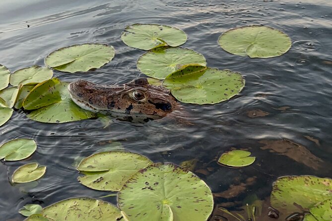 3 Hours Private Piranha Fishing in Lake Yacumama - Final Thoughts: Is It Worth It?