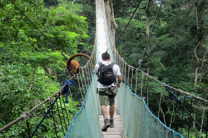 4 days 3 nights  Peruvian Tambopata Jungle - In-Depth Review of the Tambopata Jungle Tour