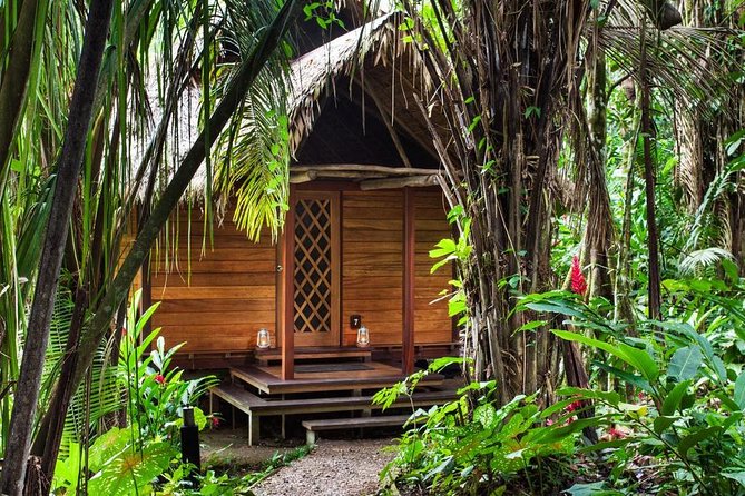 3-Day Tambopata Amazon Jungle Tour at Hacienda Concepción - Deep Dive into the Itinerary