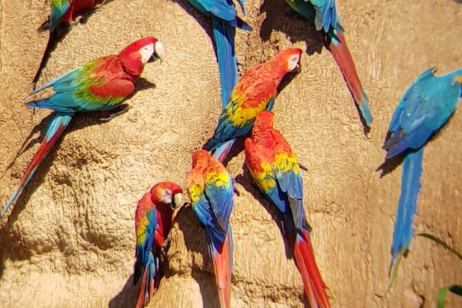 Tambopta National Reserve 5 days tour - Key Points