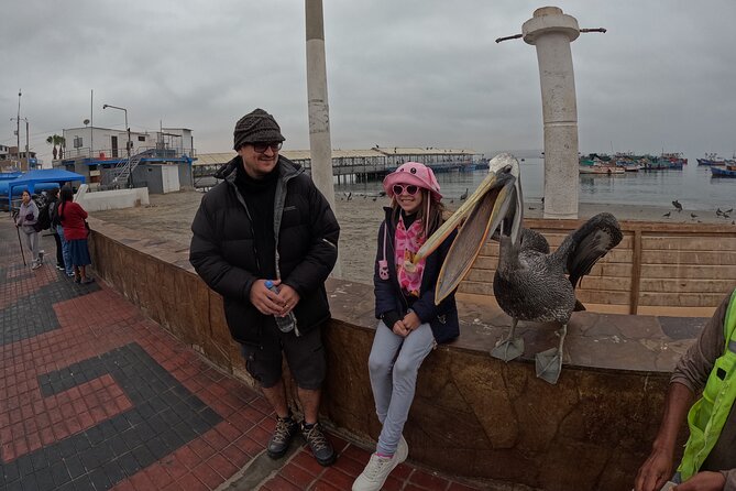 Ballestas Islands and Paracas Reserve Expedition from Ica group - Exploring the Ballestas Islands: Wildlife Galore