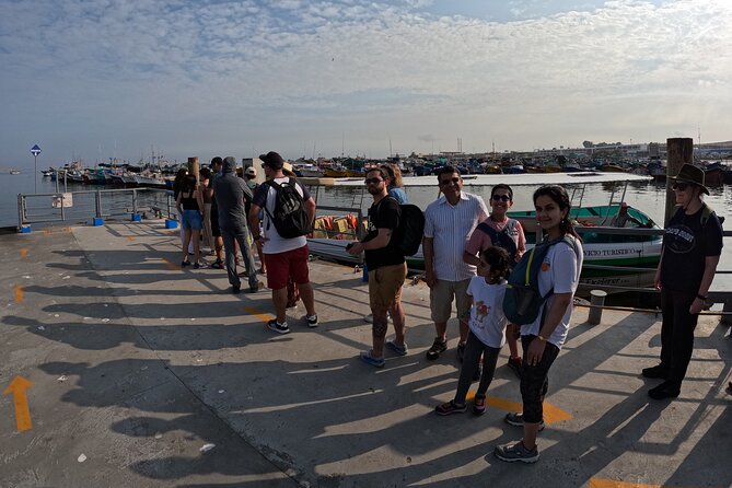 Ballestas Islands and Paracas Reserve Expedition from Ica group - Starting the Adventure: Ica to Paracas and the Islands