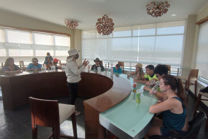 Experience and Tasting of Pisco and Peruvian wine - Who Should Consider This Tour?