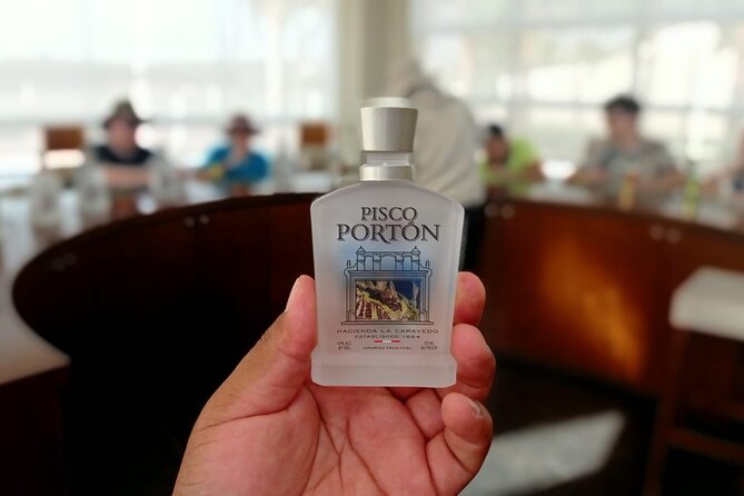 Experience and Tasting of Pisco and Peruvian wine - A Deeper Look at the Ica Pisco and Wine Tour