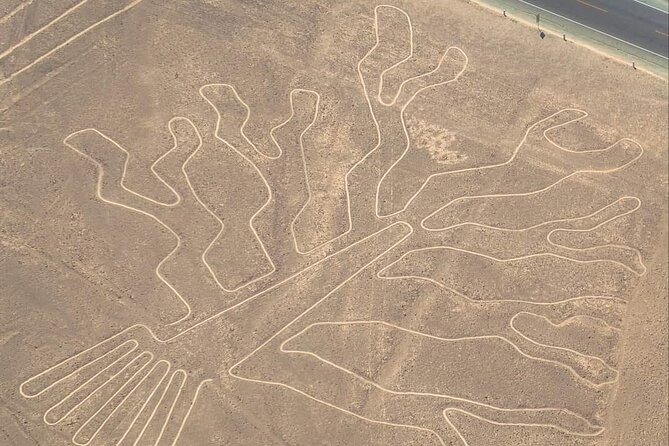 Fly over the Enigmatic Nasca Lines from Ica - The Sum Up