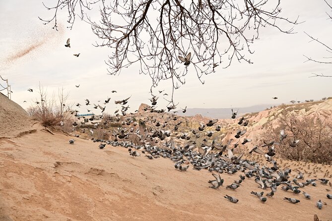 Cappadocia Highlights Tour and Underground City - The Sum Up