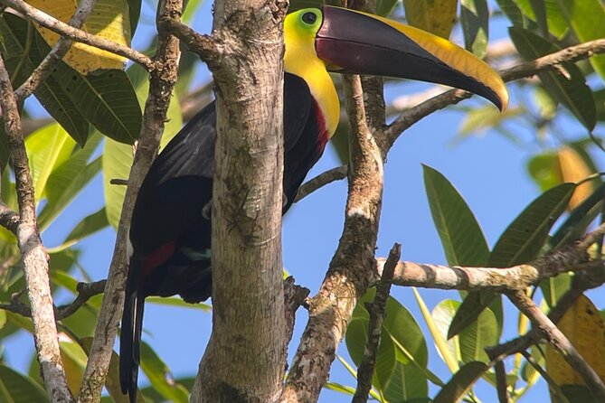 2 Days 1 Night Corcovado Jungle Adventure Sirena Ranger Station - A 2-Day Jungle Escape in Costa Ricas Corcovado National Park