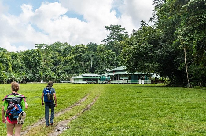 Corcovado Sirena Station From Puerto Jimenez By Boat ALL INCLUDED - Final Thoughts