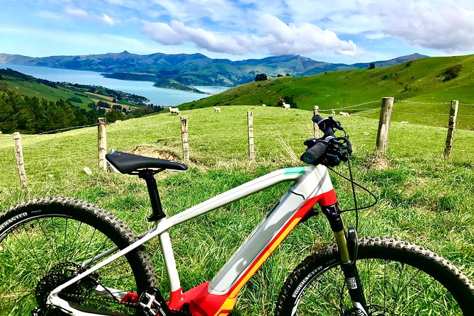 Akaroa Explorer- Guided Electric Bike Tour in Akaroa - What to Expect During the Tour