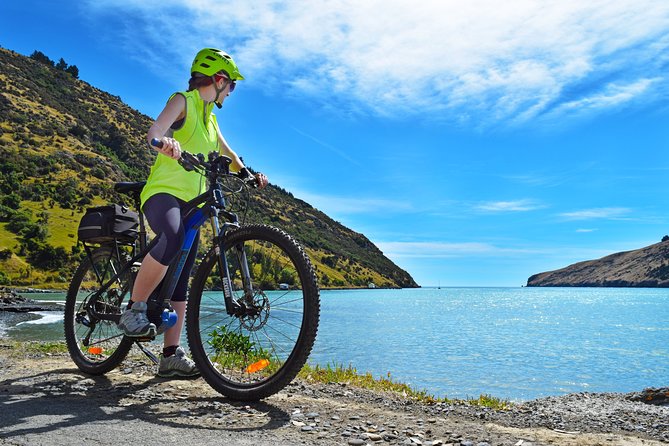 Akaroa Explorer- Guided Electric Bike Tour in Akaroa - Who Should Consider This Tour?