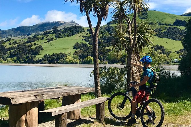 Akaroa Explorer- Guided Electric Bike Tour in Akaroa - Practical Details and Tips