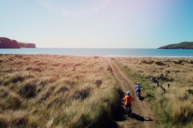 Akaroa Self Guided Electric Scooter Tour - The Experience Breakdown