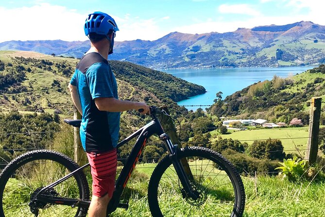 Guided Electric Mountain Bike Tour- Akaroa Explorer - The Value of the Tour