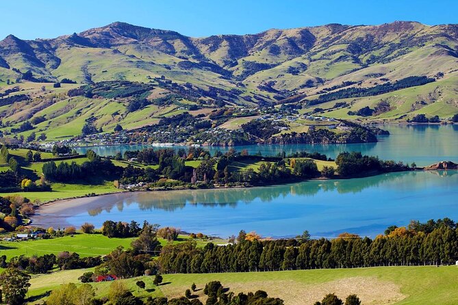 Guided Electric Mountain Bike Tour- Akaroa Explorer - Final Thoughts