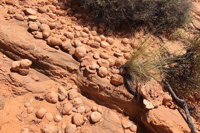 Wind Pebble Canyon Partial Hiking tour through Antelope Canyon - Value and Practical Considerations