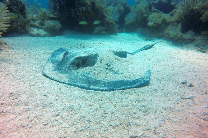 Try Scuba Diving with Professional Scuba Instructor - The Full Lowdown on the Try Scuba Diving Experience