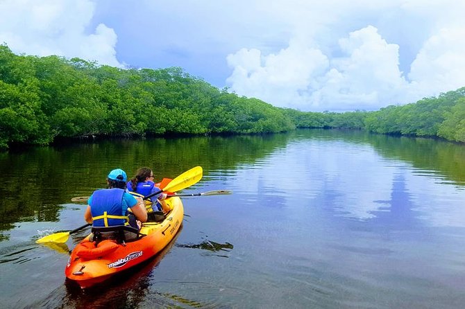 Mangroves and Manatees - Guided Kayak Eco Tour - The Sum Up: Who Is This Tour Perfect For?