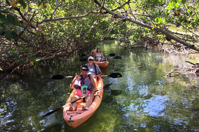 Mangroves and Manatees - Guided Kayak Eco Tour - Exploring the Mangroves and Manatees: A Kayak Eco Tour in Key Largo
