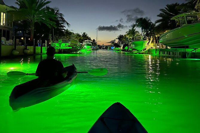 Sunset Kayak Adventure with Enchanting Underwater Lights - A Closer Look at the Experience