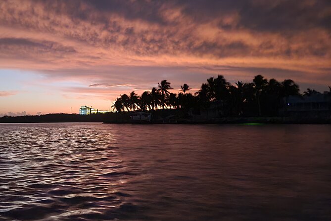 Sunset Kayak Adventure with Enchanting Underwater Lights - Why This Tour Offers Great Value