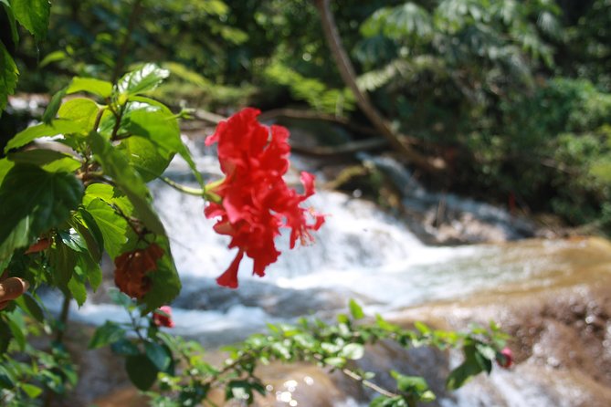 PALENQUE RUINS, AGUA AZUL and MISOL-HA (Private) - The Sum Up