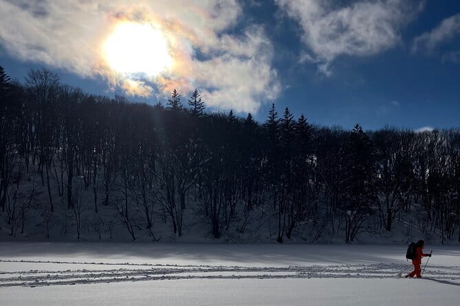 EN/CN Guided Snowshoeing and Snow Monkey Tour in Nagano - Inclusions