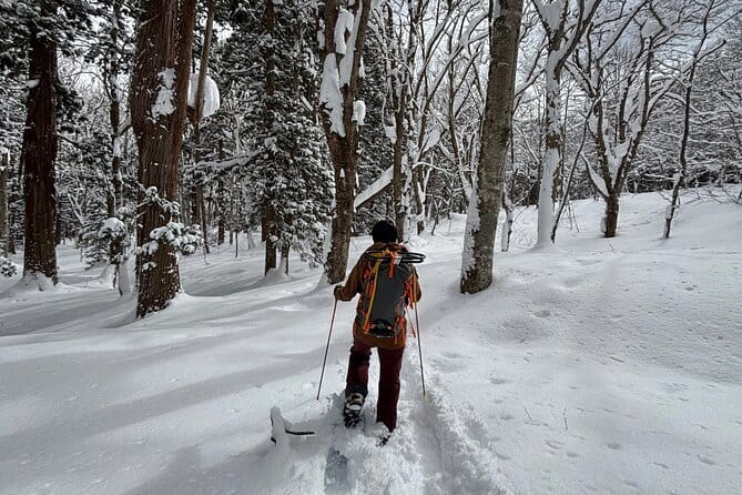 EN/CN Guided Snowshoeing and Snow Monkey Tour in Nagano - Preparing for the Tour
