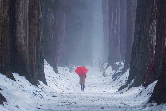 Togakushi Shrine Private Tour with English Local Guide - Why This Tour is a Great Fit