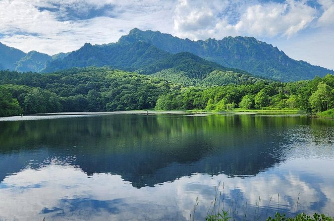 Togakushi Shrine Private Tour with English Local Guide - Final Thoughts