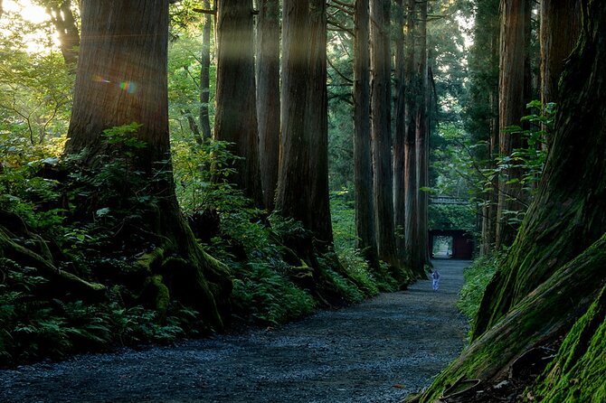 Togakushi Shrine Private Tour with English Local Guide - Exploring Naganos Hidden Gems: Togakushi Shrine Private Tour with English Guide