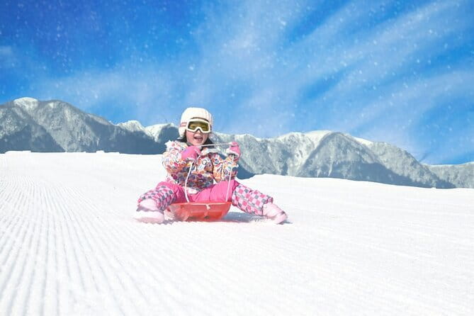 1 Day Tour Traditional Igloo Kamakura Festival and Snow Fun - Practical Details That Make a Difference